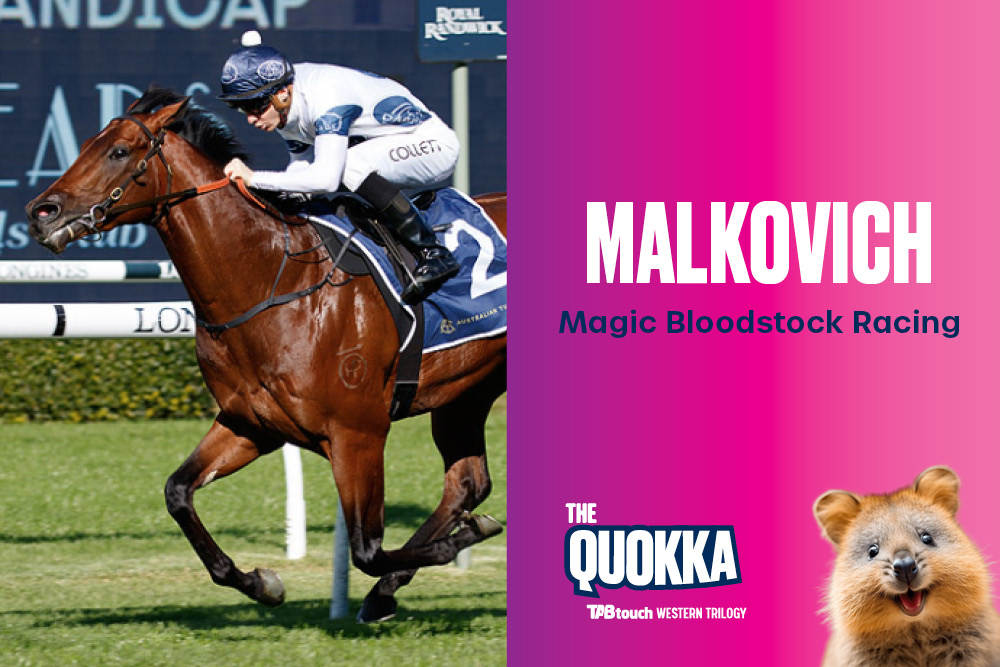 🚨QUOKKA NEWS🚨

Only two weeks to go!!!

Malkovich is now confirmed for the $5million event to represent Magic Bloodstock. Here is our RAS ratings profile of the 6YO. #Quokka #WesternTrilogy

@TheRacesWA

racingandsports.com.au/news/racing/we…