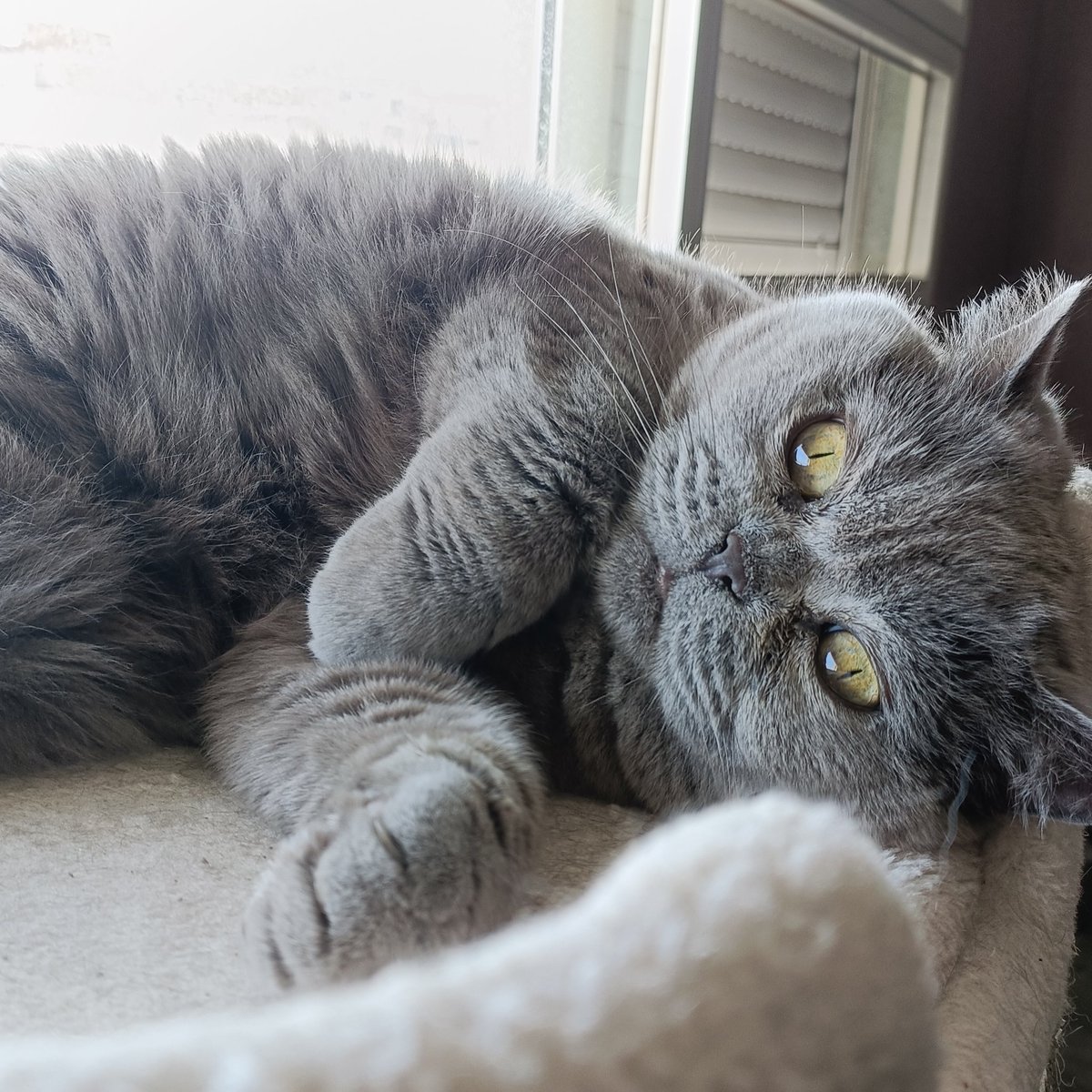 Los buenos días se desean,no?