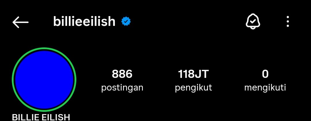 ANJAY MASUK CFNYA BILLIE EILISH