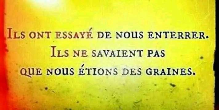 La Résilience au coeur du 'miracle rwandais'.