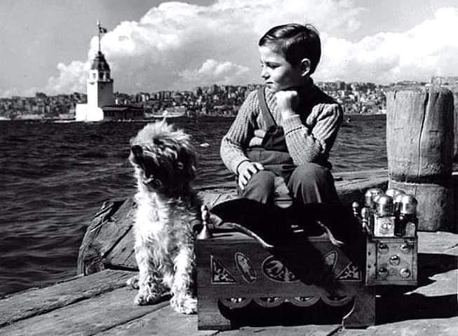 1960, İstanbul. Ayakkabı boyacısı bir çocuk ve köpeği.