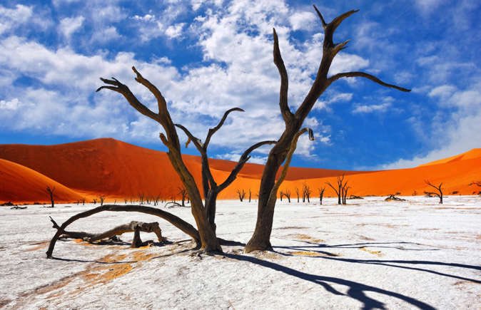 If it wasn’t for the petrified camel-thorn trees and the burning orange dunes, this stark landscape could double for the surface of the moon. Deadvlei is folded into Namibia’s Namib-Naukluft Park and the white clay pan, likely formed more than 1,000 years ago, is fringed by some