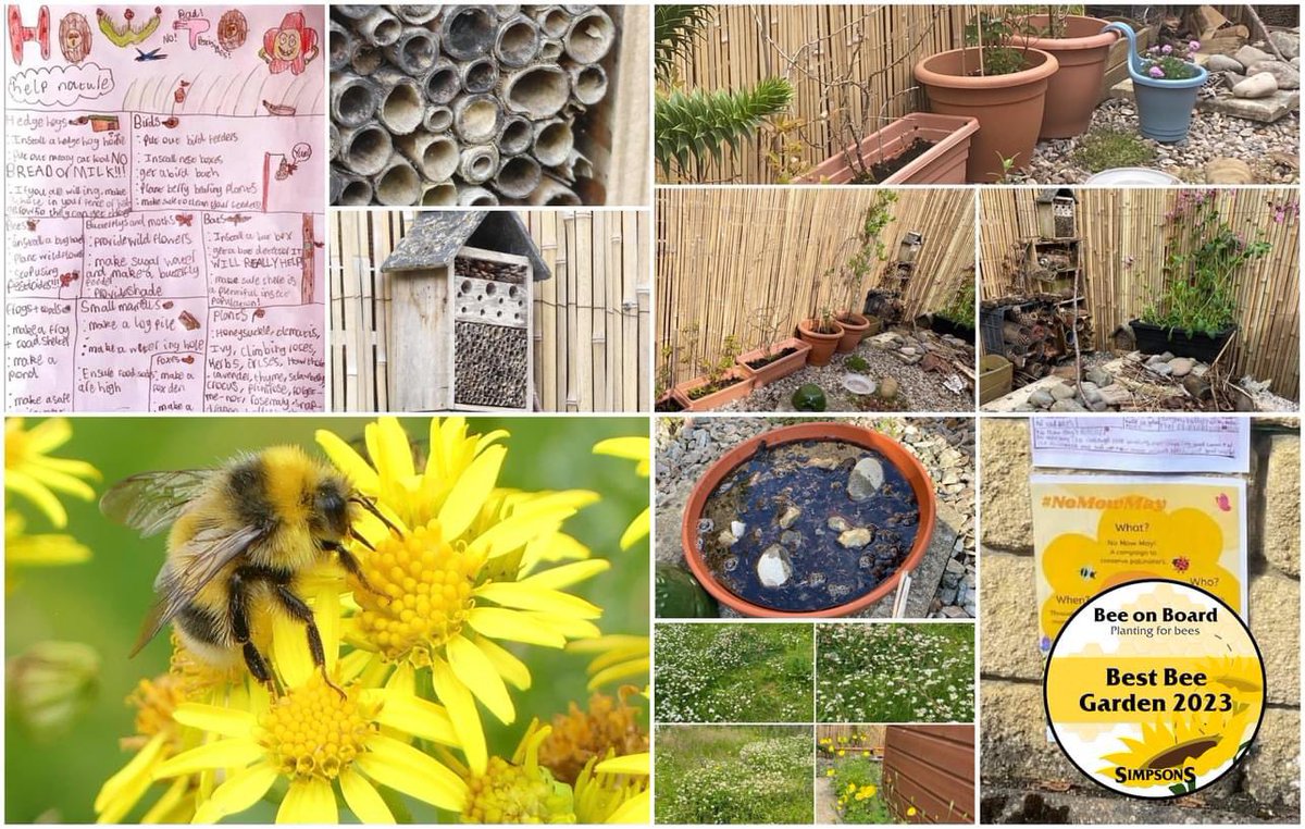 Our fabulous winners from our 2023 Bee on Board comps!
🐝Best Bee Photo - to be featured on our next Gift Cards - Heather Gilbertson
🌸Best Wildlife/Bee Friendly Garden
- Josh Allan 
Find out more at:
simpsonsgardencentre.co.uk/bee-on-board/

#beeonboard #beephoto #beefriendly #wildifegarden