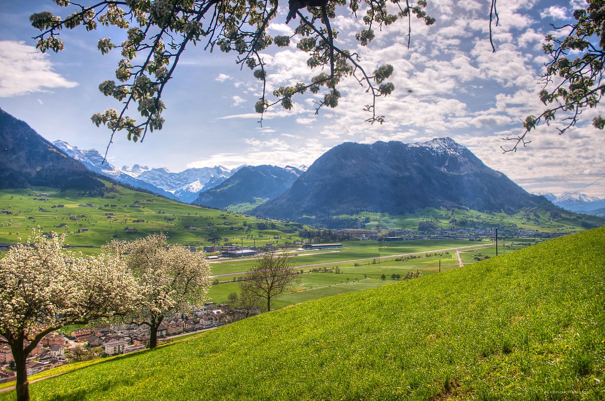 Geniesse die Blütenpracht in der Region Vierwaldstättersee 🌸☀️ Wanderungen am Wasser: nidwalden.com/de/tag-suche/l… #Ennetbürgen #Nidwalden #Vierwaldstättersee #wanderlust #Schweiz #Switzerland @STMediaCH