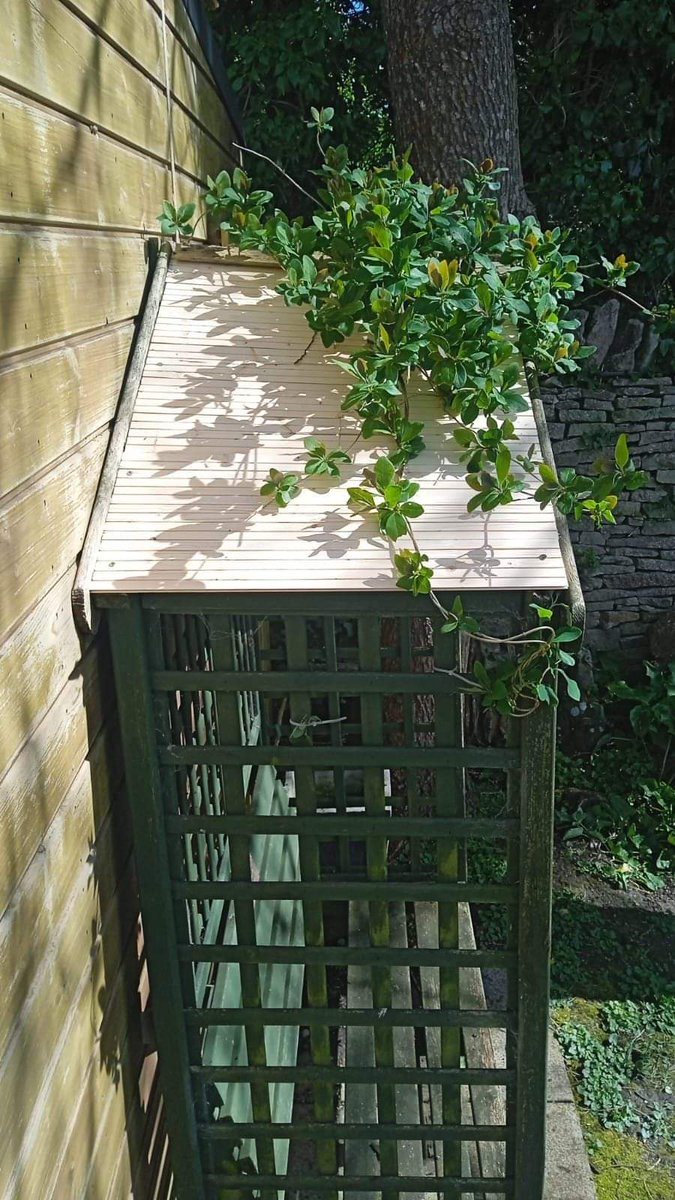 4 men from the #BibbyStockholm gave their skills and time to The Portland Museum. A carpenter fixed the roof on the garden seat and stabilised it. Others did general musrum cleaning, inc the windows, in preparation for the museum's spring/summer opening. Thank you. 😊