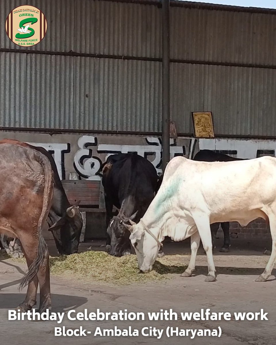 Shah Satnam Ji Green 'S' Welfare Force Wing volunteers sets a precedent in celebration - be it a birthday or securing first division in class, they choose to honor these achievements by planting trees and providing food for animals. This unique approach not only celebrates…