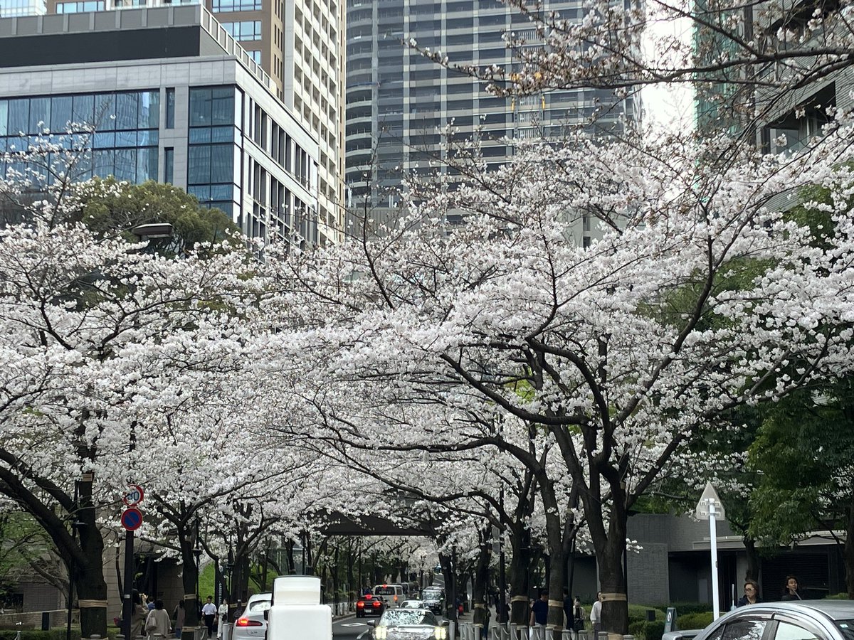 OMIn's tweet image. 正和…六本木でお花見してきたよ… #DONTBEASLAVE