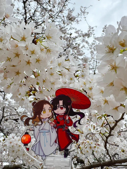 お花見 
