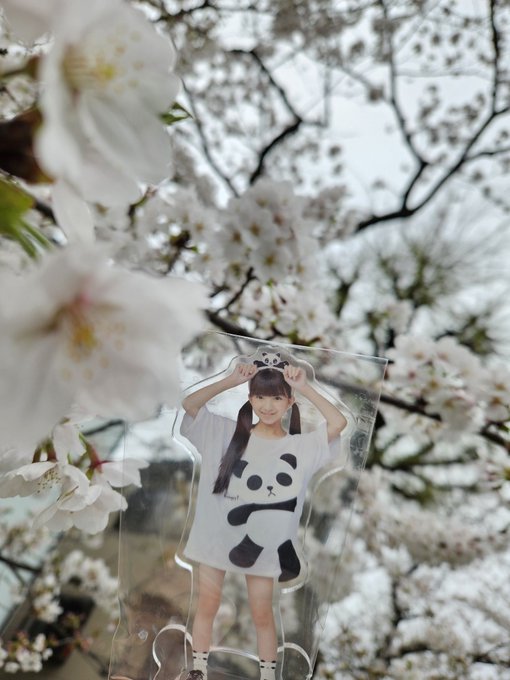 Twitterのコスプレ画像8