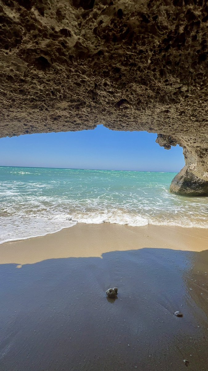 پای آناناس🍍 tweet media