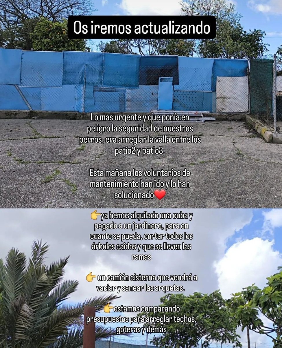 Al respecto de las reformas, agradecemos la difusión 🙏💞