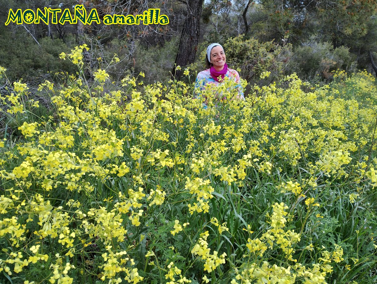 #frasesparapensar #montaña #amarillas #Flores #primavera2024 #naturalezaviva