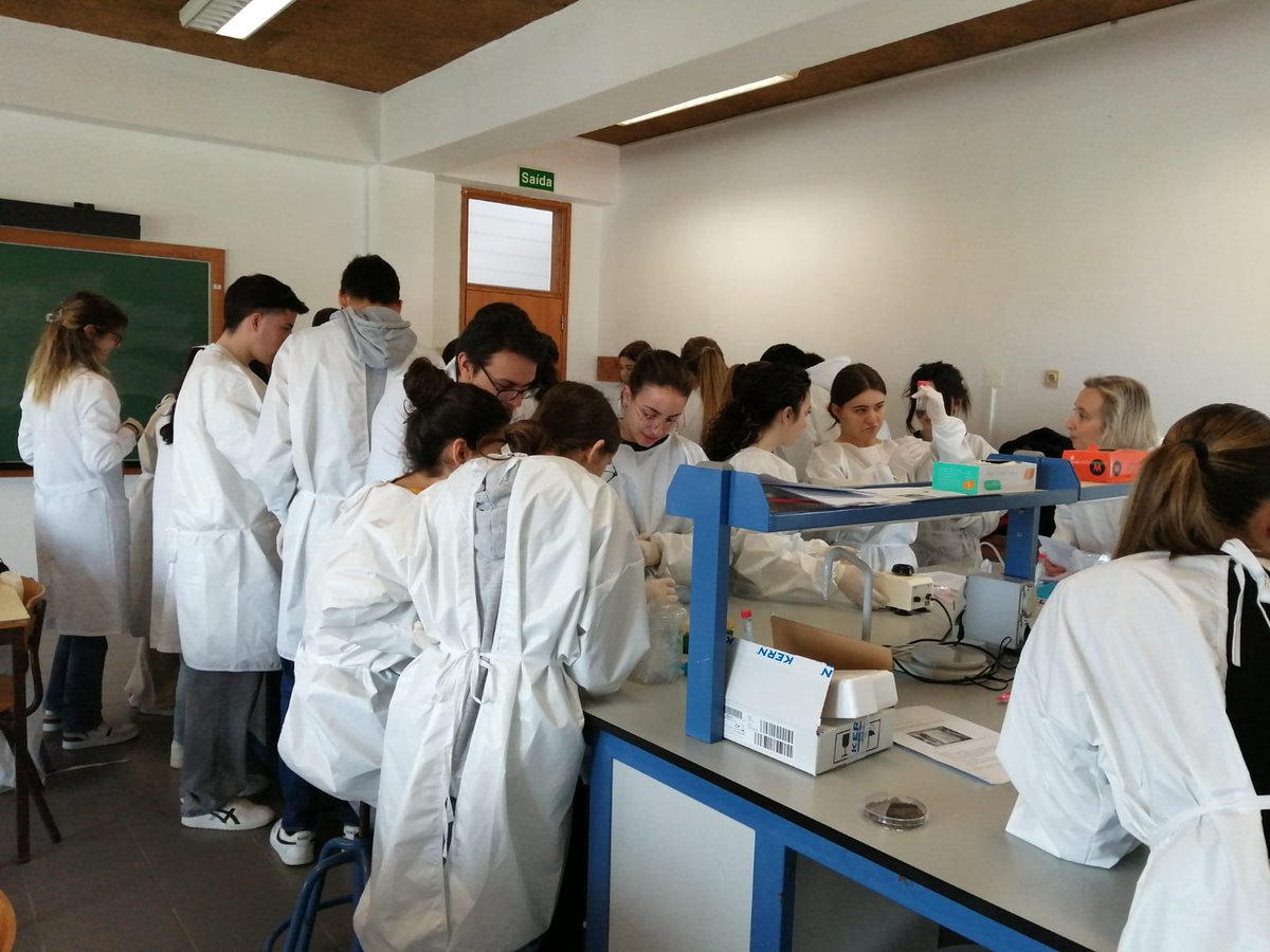 MicroMundo_IUCS's tweet image. Session 2 of the @MicroMundo_IUCS for the first team acting in the 12th grade of the EBS Cristelo TEIP School is done!
We processed soils from different locations and we're looking forward to exploring the biodiversity we're going to find, stay tunned!
@Cespu_Ensino @TOXRUNIUCS
