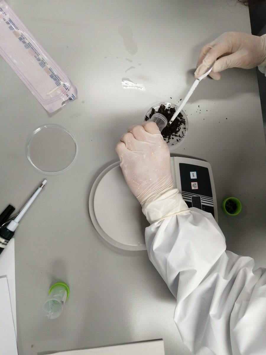 MicroMundo_IUCS's tweet image. Session 2 of the @MicroMundo_IUCS for the first team acting in the 12th grade of the EBS Cristelo TEIP School is done!
We processed soils from different locations and we're looking forward to exploring the biodiversity we're going to find, stay tunned!
@Cespu_Ensino @TOXRUNIUCS
