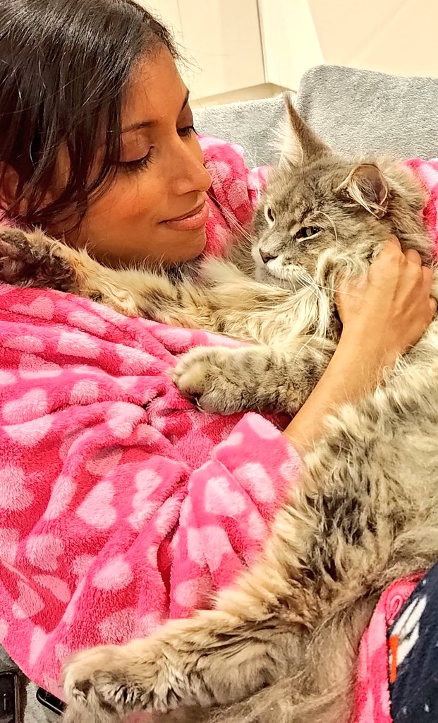 Cuddles with Cosmo and his chunky paws🐾 Happy #Caturday 🐱