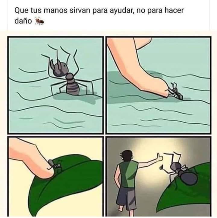 Toda vida es valiosa ✌️😉