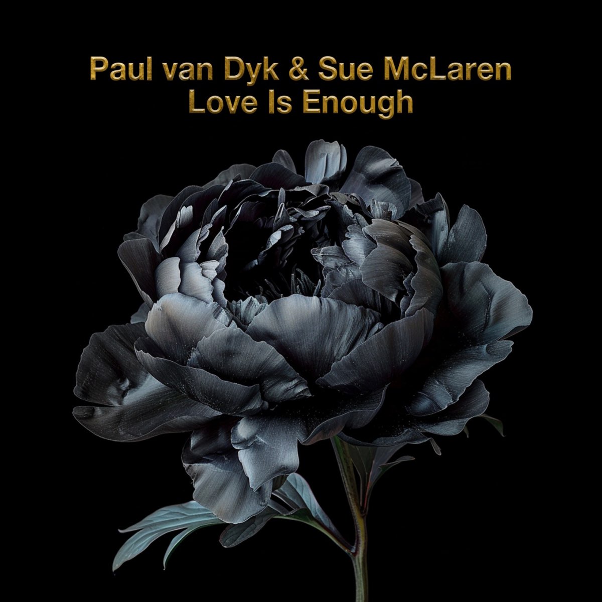 'Paul van Dyk' & 'Sue McLaren' - 'Love Is Enough' (Single 2024) (Vandit Records) (IMG) on 'Apple Music', 'Amazon Music' & 'Spotify' 🎹 🎼 @PAULVANDYK @suemclarenmusic @vanditrecords @amazonmusic @Spotify @AppleMusic
