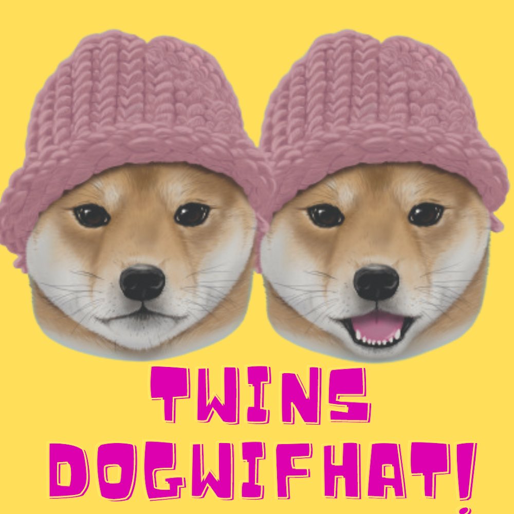 Twins Dogwifhat tweet media