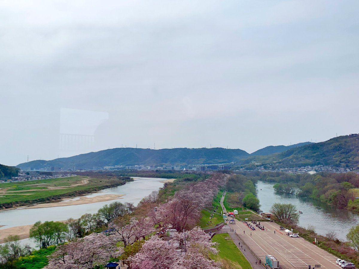 【雄也通信】
雄也が生前に製薬会社向けに配信した動画メッセージに心を寄せて下さっていたフォロワーさんが、この度、墓前に手を合わせに来て下さいました。その後、雄也が好きだった背割堤のステキな桜のトンネルを一緒に楽しんできました。今年は少し長く楽しめそうですね。