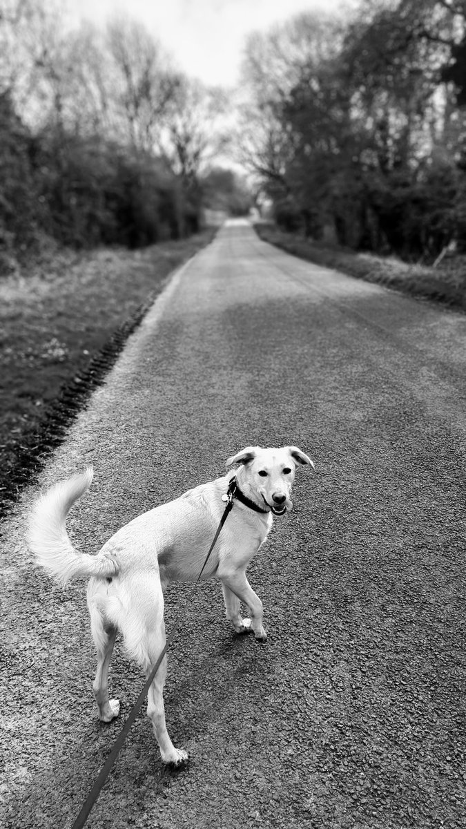 Chris Ramsay tweet media