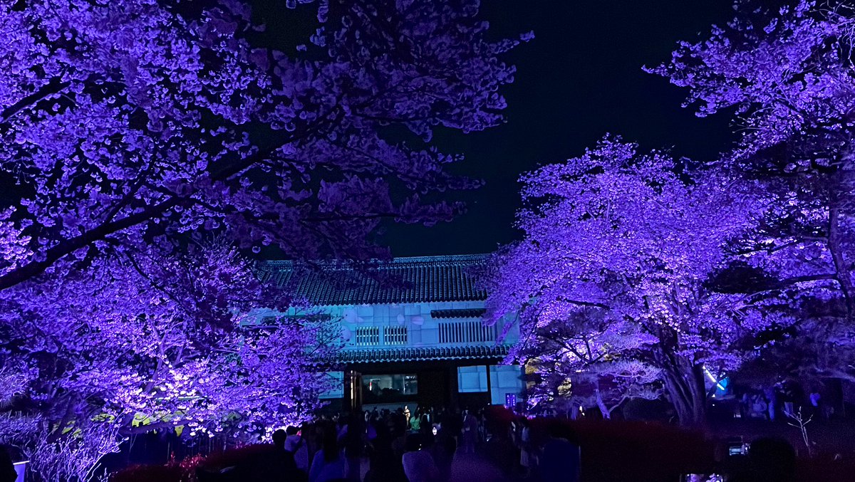 姫路城 夜桜会で
ストリートピアノを演奏しました🎹
最高すぎました🏯🌸

#国宝
#世界文化遺産