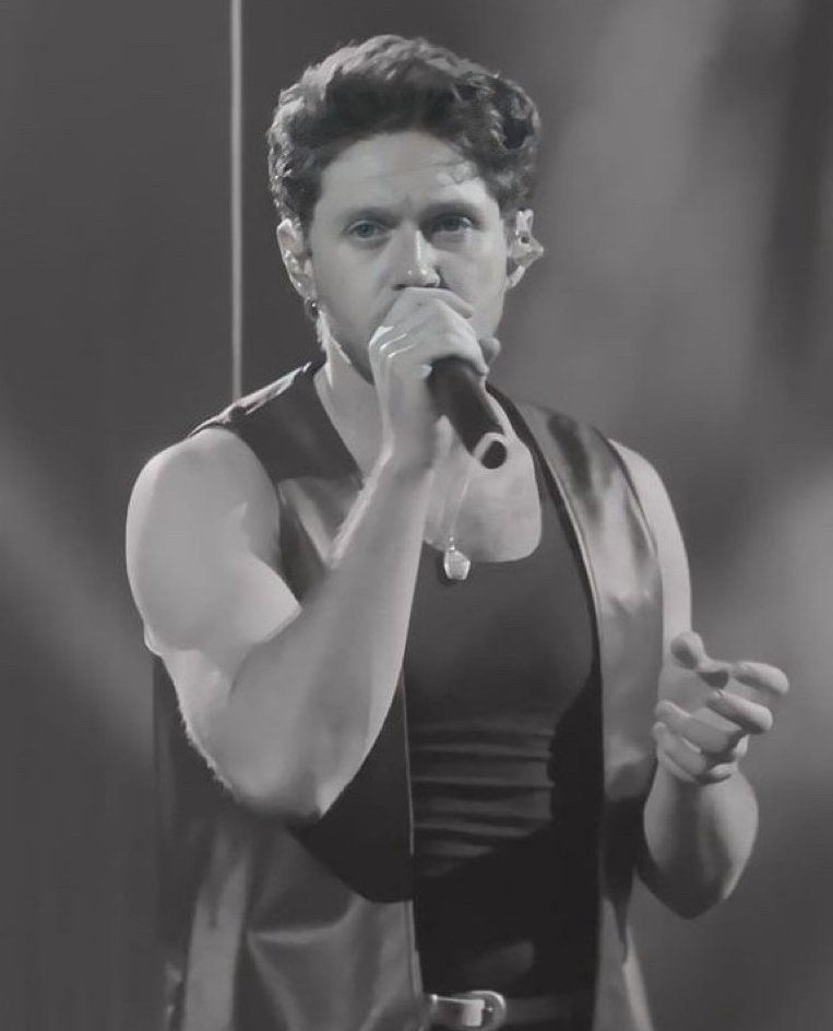 can we take a moment to realize TSOLT era niall is the hottest he’s ever looked... just big and beefy