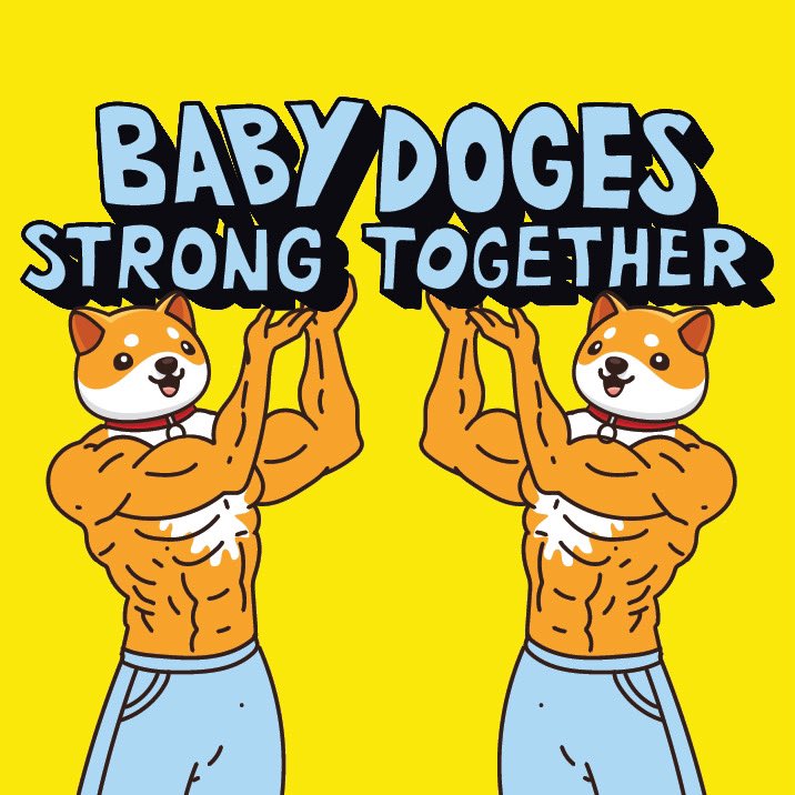 Baby Doge (@babydogecoin) on Twitter photo 