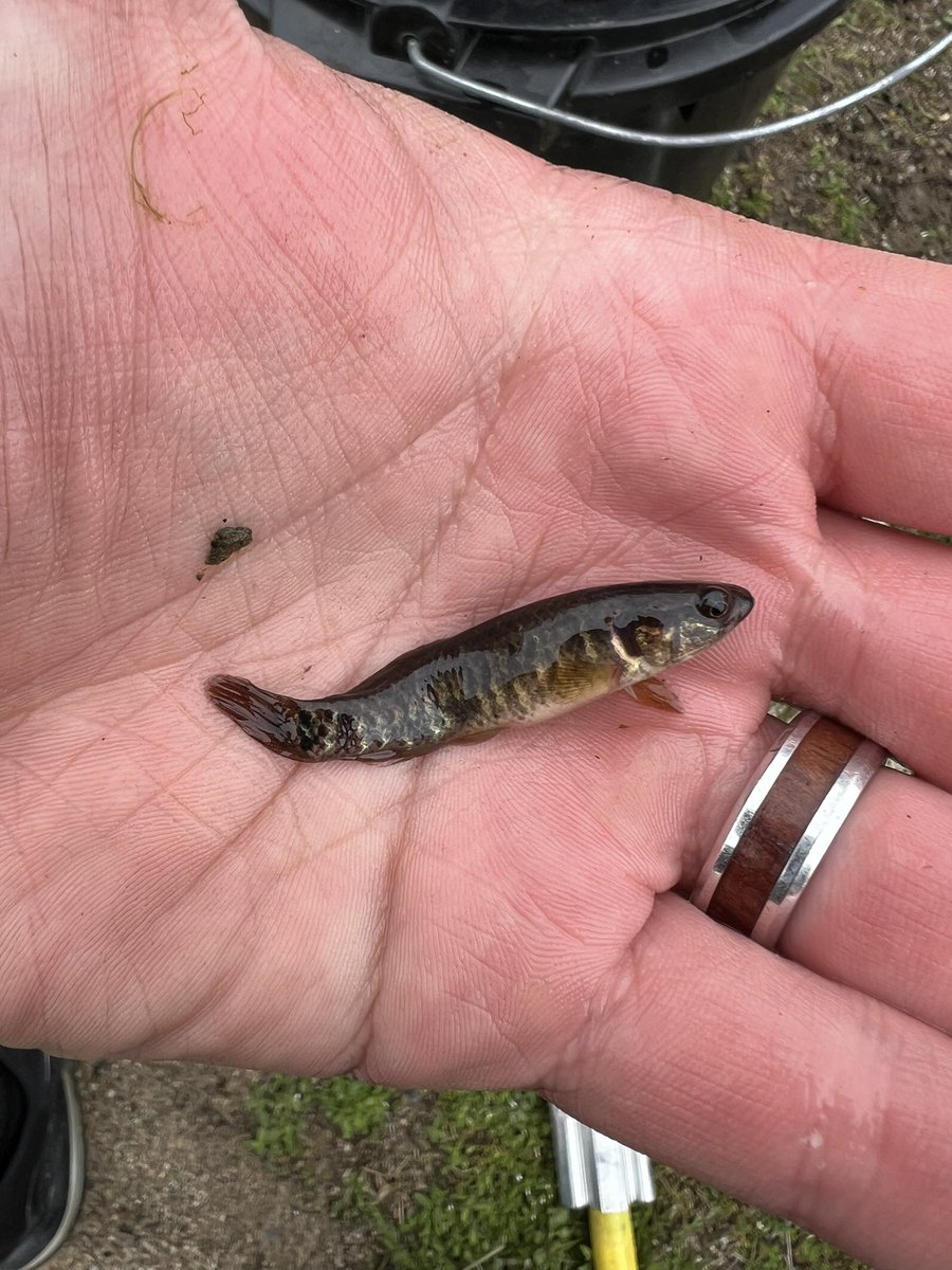 Paul DeRolf tweet media