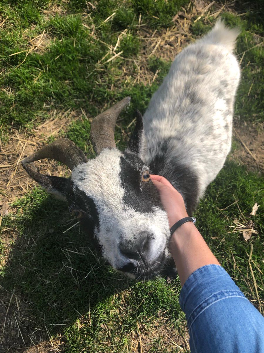Enjoying the first sunny day of spring with this fotomodel!☀️🌱