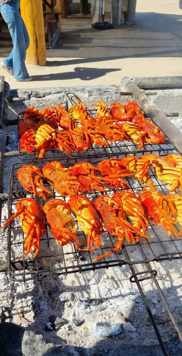 HomebrewsSA - Mike 👋🍺 tweet media