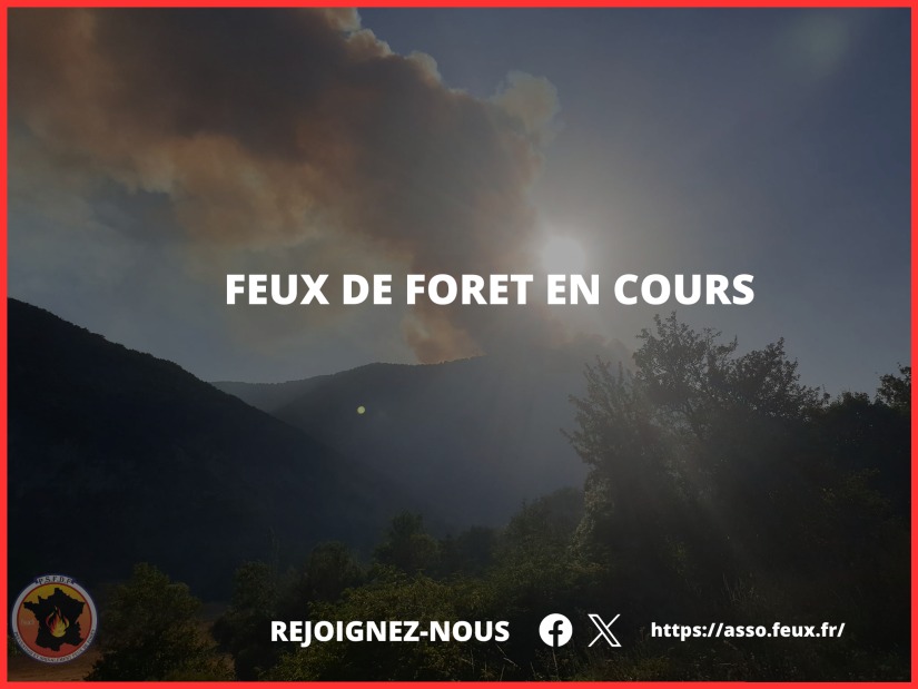 PirenFr tweet picture