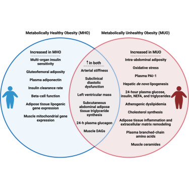 Cardiometabolic characteristics of people with metabolically healthy and unhealthy obesity dlvr.it/T58X5r