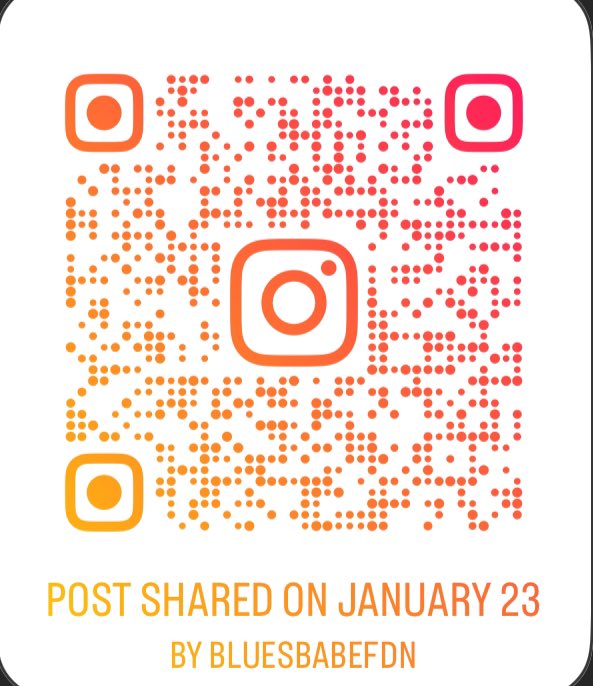 Camp Jill Scott is a full teenager!!!  16 years of green grass, zip lines, expanding dreams and encouraging young North Philly &amp; Camden minds. Yessss <a href="/bluesbabefdn/">Blues Babe FDN</a> here we goooo. SHOW SOME SUPPORT PLEASE🥰. Camp Jill Scott is truly a good thing &amp; it’s free 4 our campers.