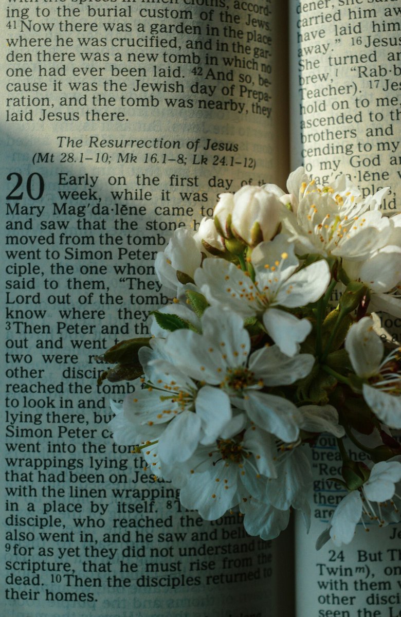 Easter isn't over. It's a 50 day season that lasts until Pentecost!