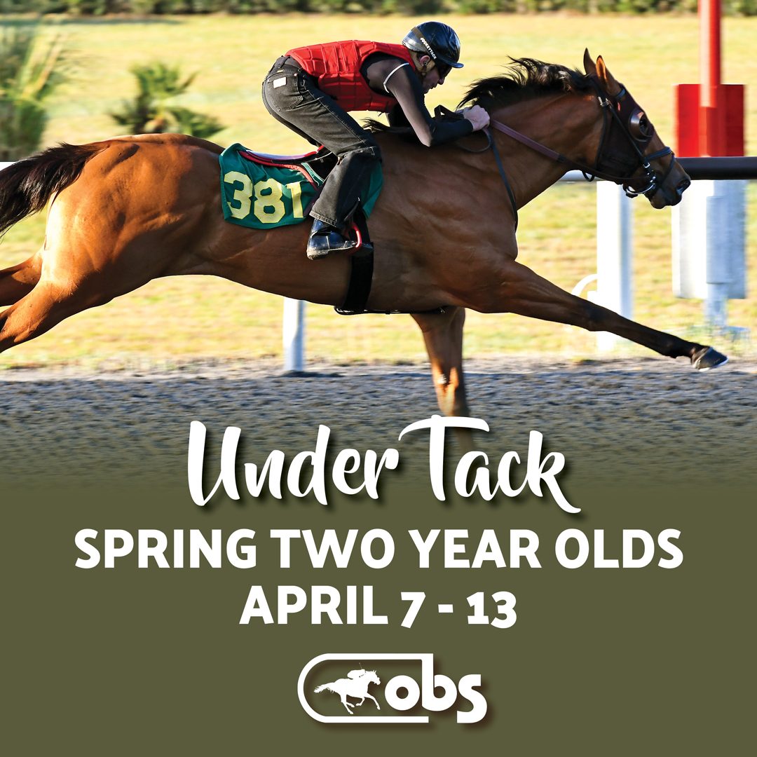 Get your stop watches ⏱️, catalogs 📖 and shortlists 📝ready because the OBS Spring Under Tack Show starts TOMORROW! #twoyearoldsource #obssales #ocala