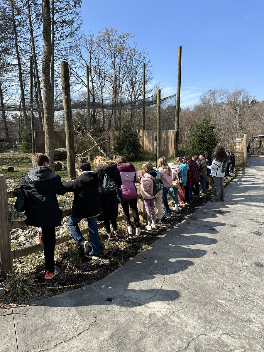 wilson6461's tweet image. Our 4th grade students had an amazing week at Binder Park Zoo. They get the zoo to themselves, as it’s closed to the public. The students were provided with special presentations by zoo staff and some of their unique animals.
#ocsrocks