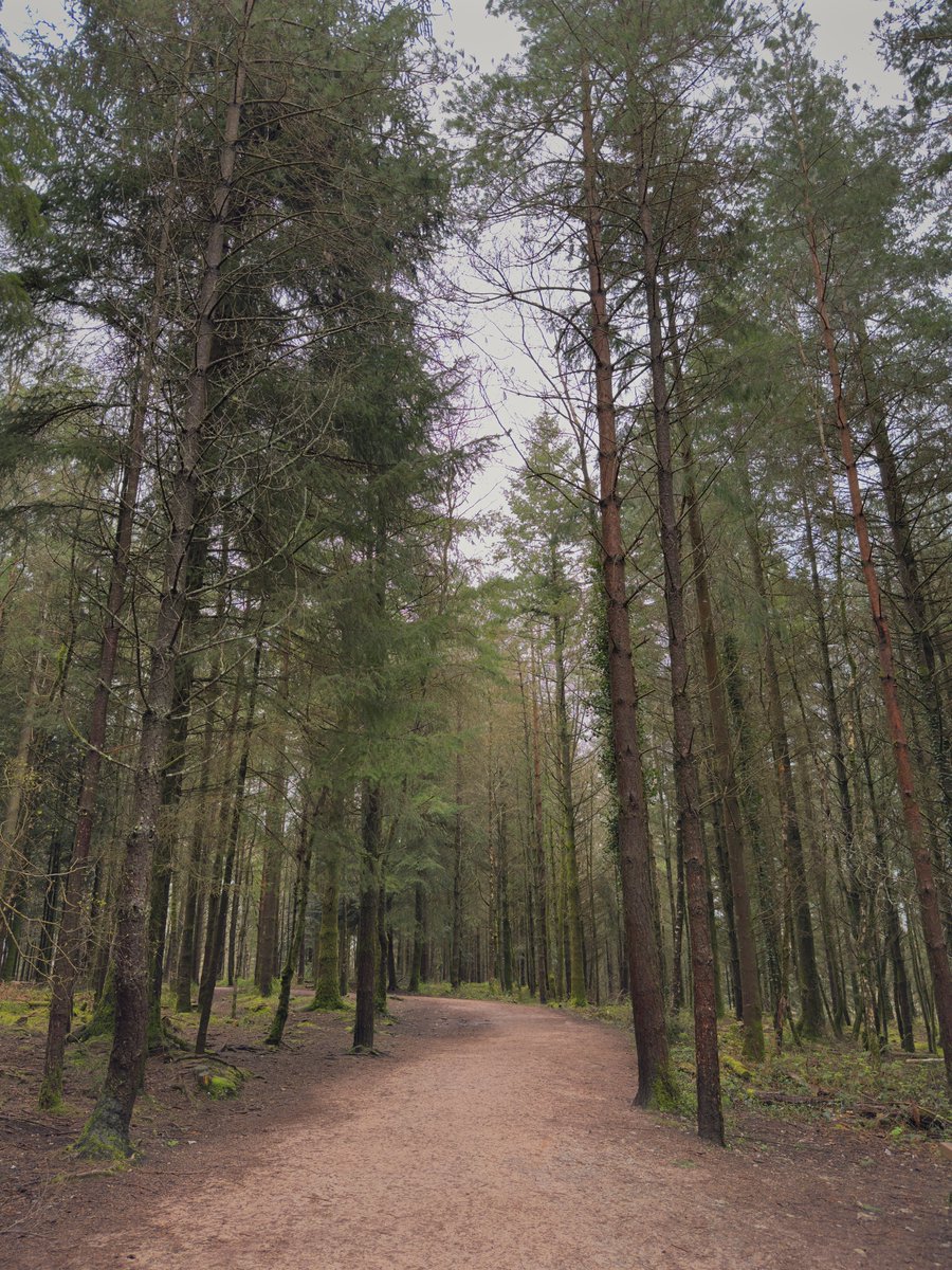 Nice walk with family 🚶🏻🌳🦌 #iPhone15ProMax #shotoniphone #apple