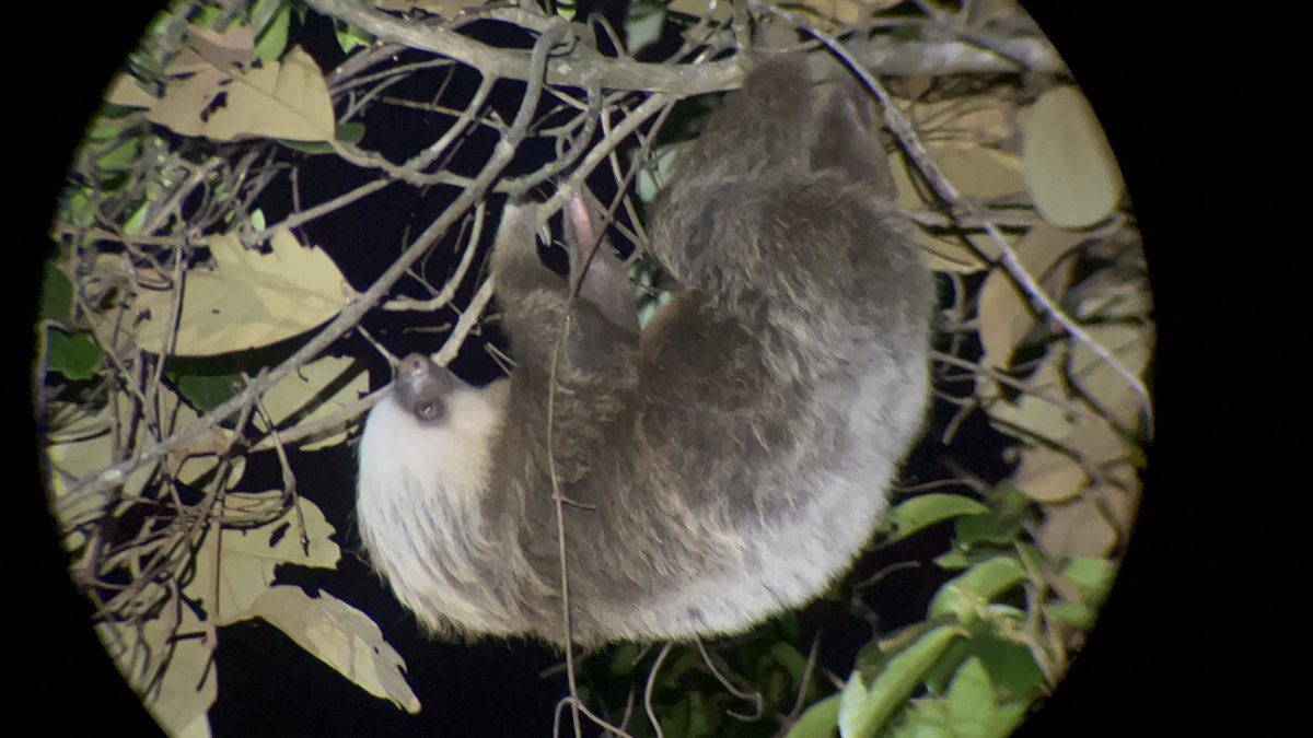 Heidi Selassie I tweet media