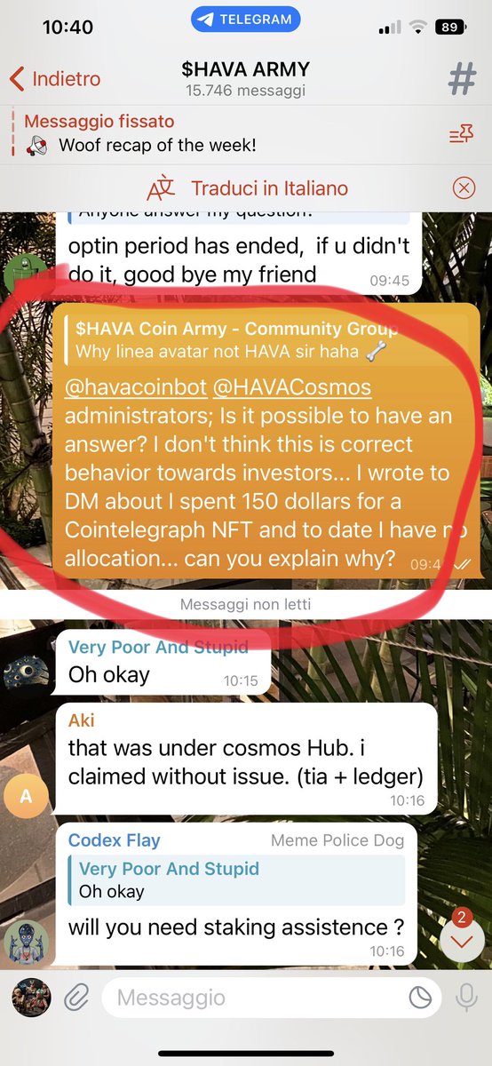 GunellaItalo's tweet photo. @Hava_Coin @Forbes @Memeland @Cointelegraph @Hava_Coin https://t.co/16gIMk4DxT
