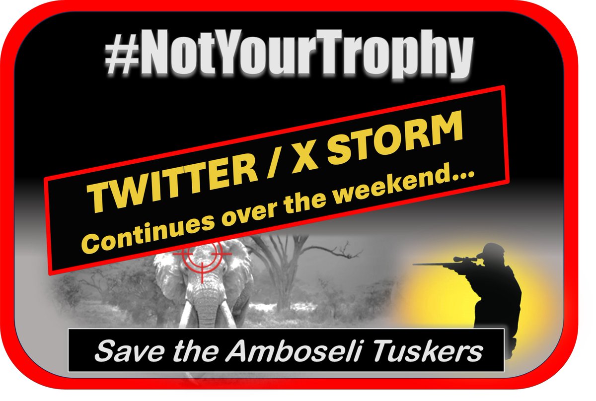 The Tweetstorm continues over the weekend, RT or tweet from the sheet again or a bit of both! #NotYourTrophy Tweet sheet 👉 sites.google.com/view/amboselis…