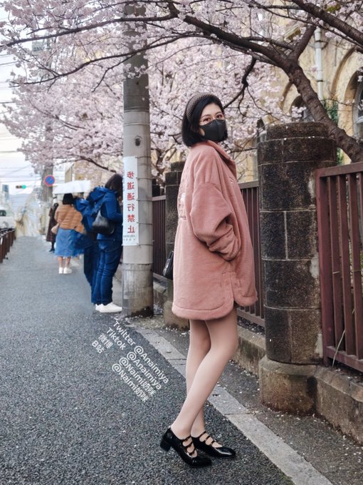 The best time to enjoy sakura, Day or Night? 赏樱的最佳时间，是白天还是晚上呢?  🌸🌸🌸 https://t.co/l0rCFDjBAx