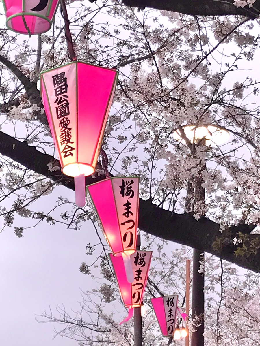 兄弟で浅草、隅田川沿いの墨堤桜まつりに来ました。私たちにはコレ🍺があれば充分です。