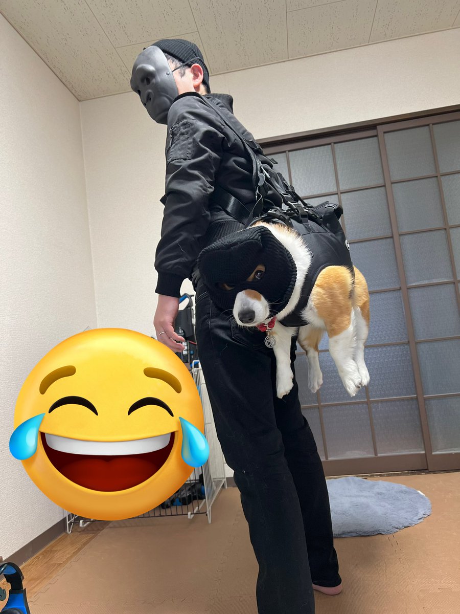 特殊部隊じゃなくて強盗側らしい🤣 #コーギー