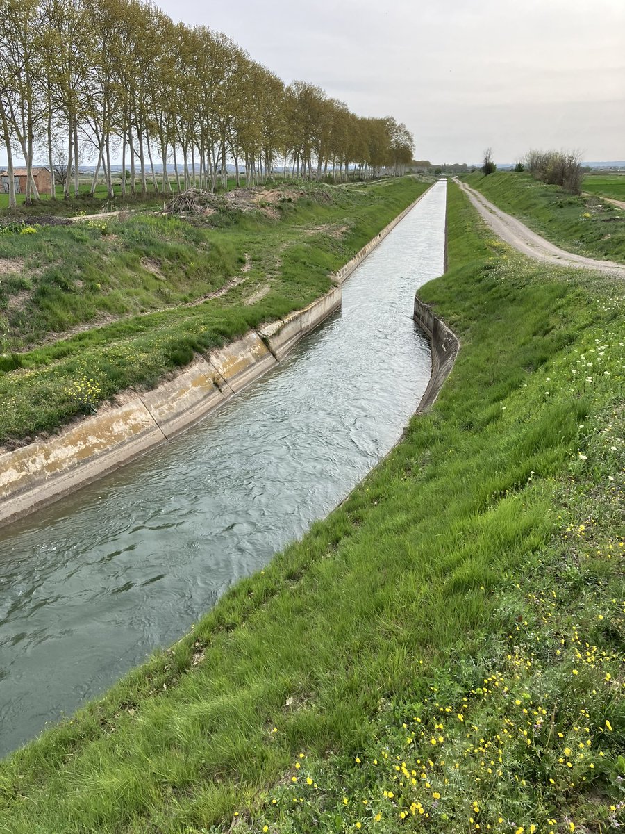 Un any més gestió pèssima de l’aigua per part dels <a href="/Canals_Urgell/">Comunitat General de Regants dels Canals d'Urgell</a> allunyats de la realitat dels cultius i de la seva demanda d’aigua…