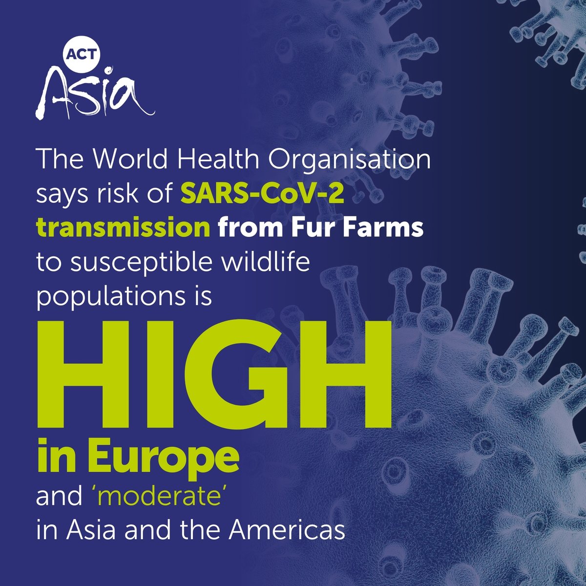 One Health research exposing the damaging impact of fur farming has been published in Frontiers. Commissioned by ACTAsia, it highlights the significant threat to human, animal and environmental health. Find out more on our website: tinyurl.com/mr2btefw