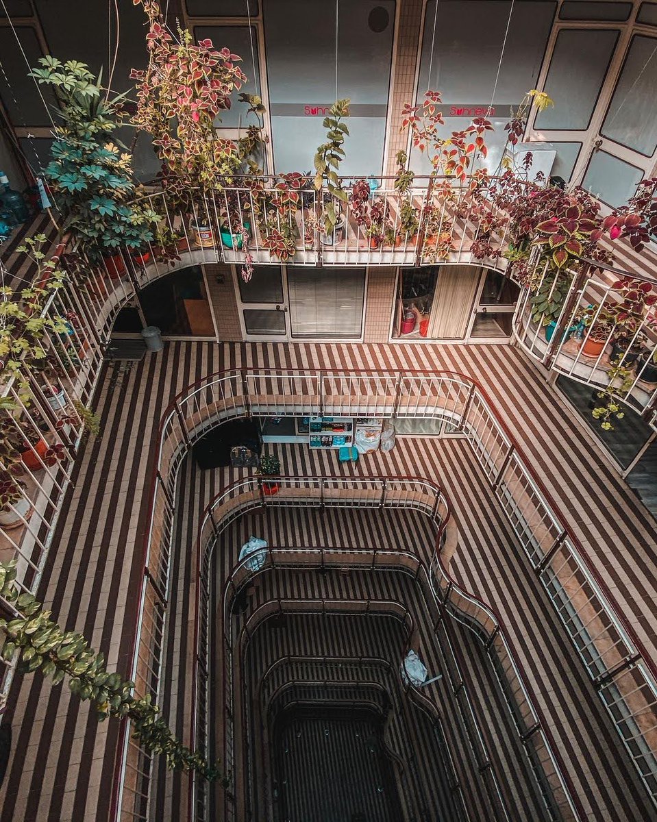 Twisting staircases weave tales of İstanbul's charm.
Diri Han, a historical building located in Eminönü, is like many other landmarks reflecting İstanbul's historical texture. #İstanbul

📸 IG: tubikce