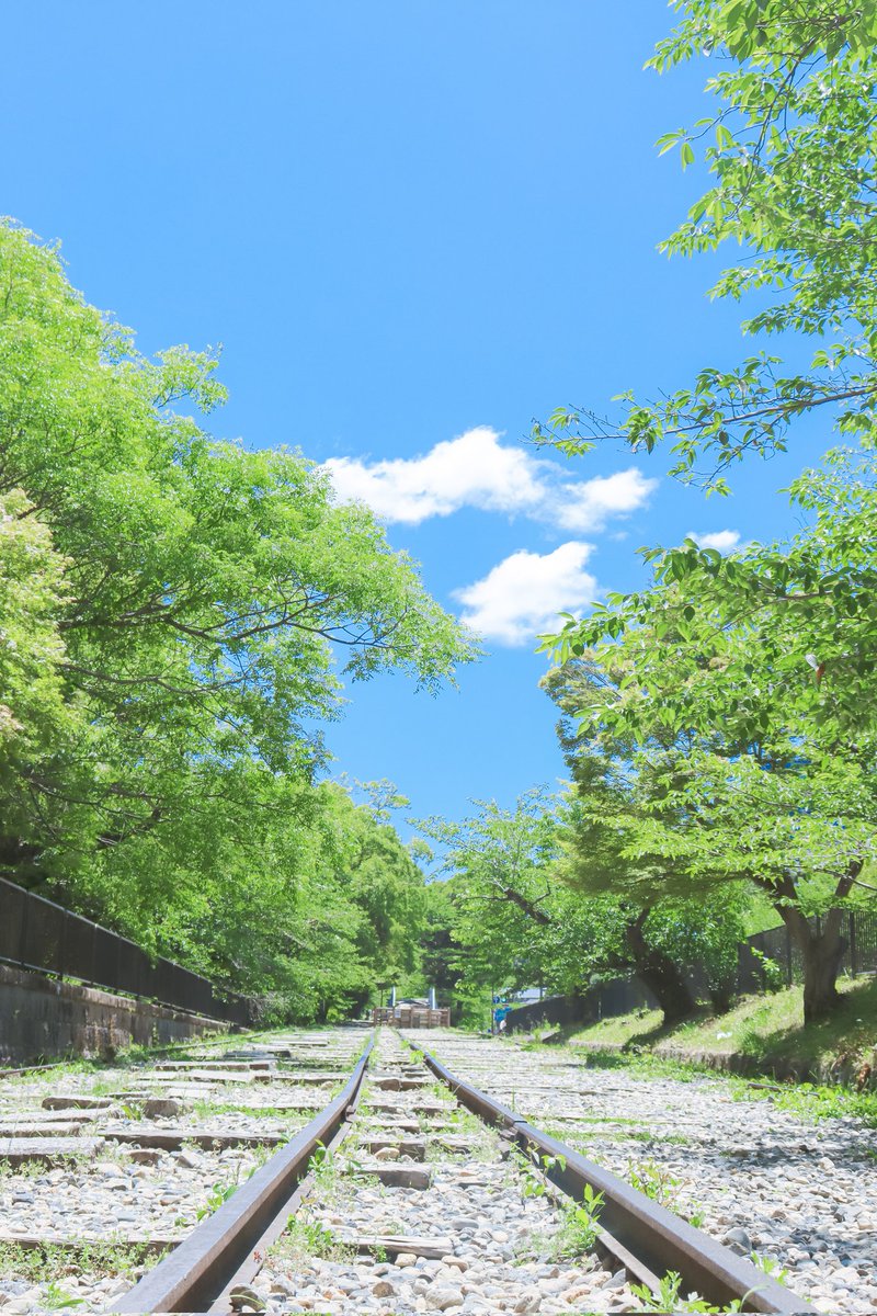 Sorani___Ao's tweet photo. 優しい風が、貴方の背中を
押してくれますように。 https://t.co/7GHstWid3n