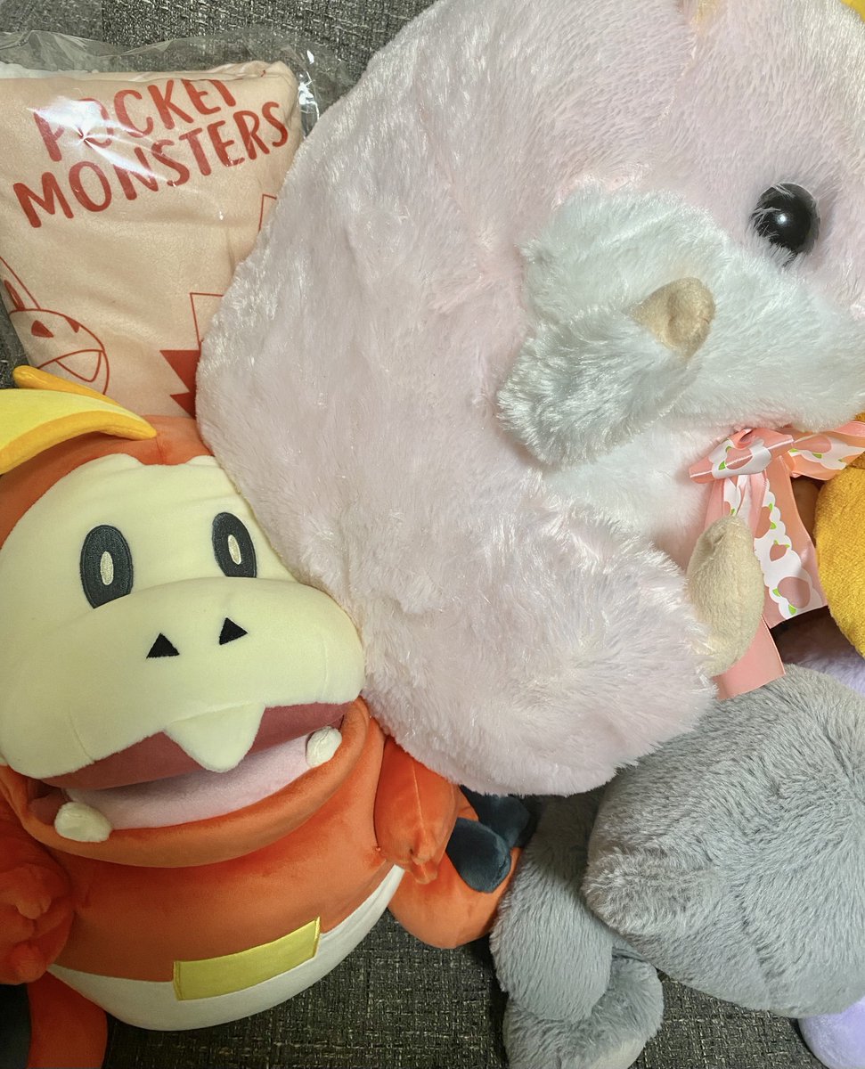 OOU_yrz's tweet photo. 我が家のハムケツに踏まれてるホゲータ世界一可愛い https://t.co/wUDyAUutei