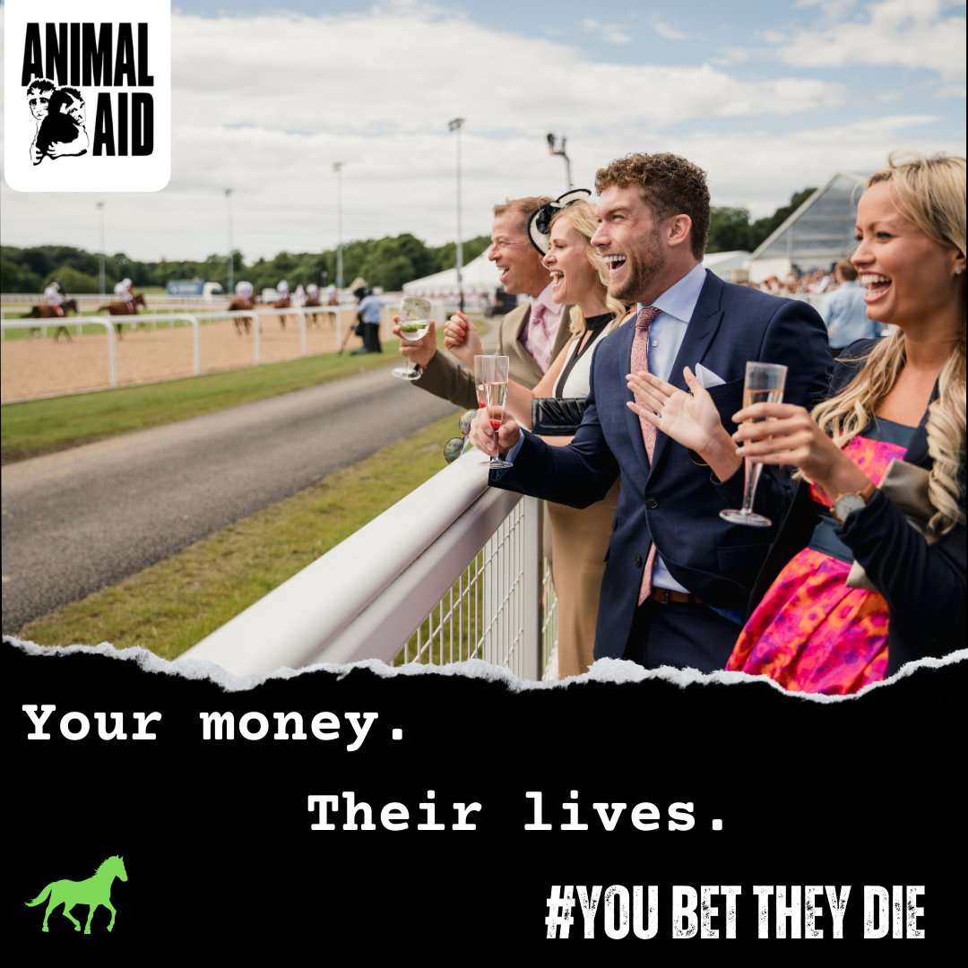 Your money. Their lives. Horse racing kills. #YouBetTheyDie