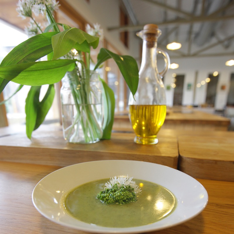 Visit the Forest of Dean & Wye Valley (@visitdeanwye) on Twitter photo Sometimes the best things are the simplest. This wild garlic soup from <a href="/HartsBarnCook/">Harts Barn Cookery School</a> is proof! Just a few ingredients and you've got a delicious, satisfying meal.
#visitdeanwye #wildgarlic #wildgarlicsoup #foraging #seasonalfood #hartsbarncookeryschool Sometimes the best things are the simplest. This wild garlic soup from <a href="/HartsBarnCook/">Harts Barn Cookery School</a> is proof! Just a few ingredients and you've got a delicious, satisfying meal.
#visitdeanwye #wildgarlic #wildgarlicsoup #foraging #seasonalfood #hartsbarncookeryschool